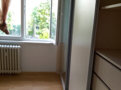 Piata Alba Iulia, Burebista, Decebal